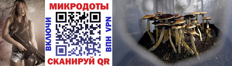 где найти   Цивильск  hydra сайт  Псилоцибиновые грибы GOLDEN TEACHER 